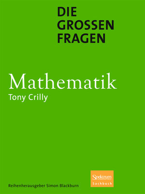cover image of Die großen Fragen--Mathematik